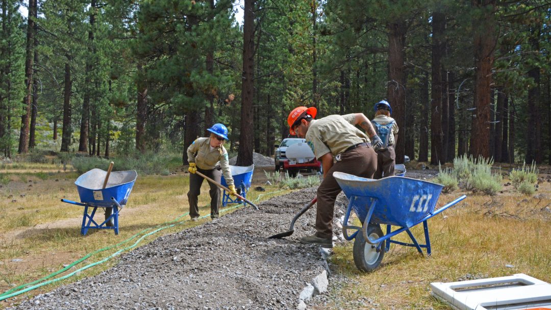 How To Join | California Conservation Corps