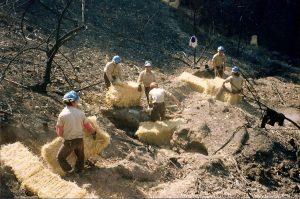 Corpsmembers use hay bales to shore up fire damaged hillside