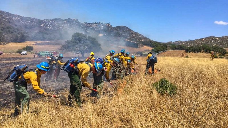 San-Diego-Type-2-Fire-Crew-2-Cutting-Fireline-800x450.jpg