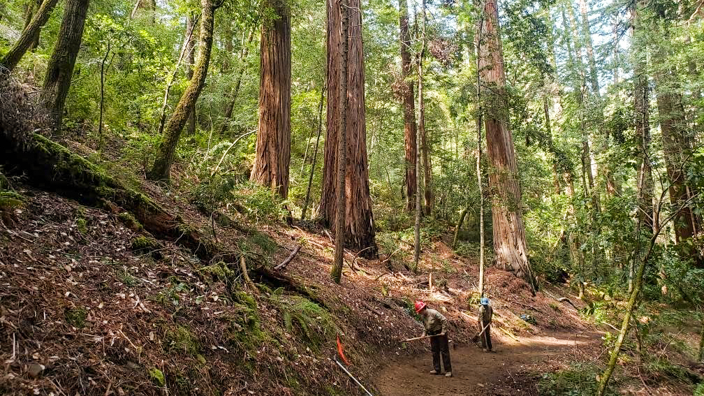 Fortuna Center California Conservation Corps