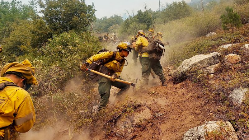 firefighters with hand tools on rocky terrain