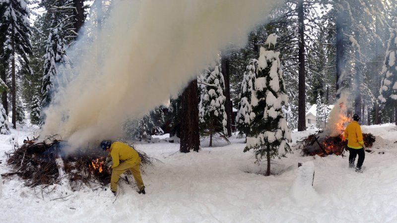 Tahoe Center Corpsmembers creating burn piles.