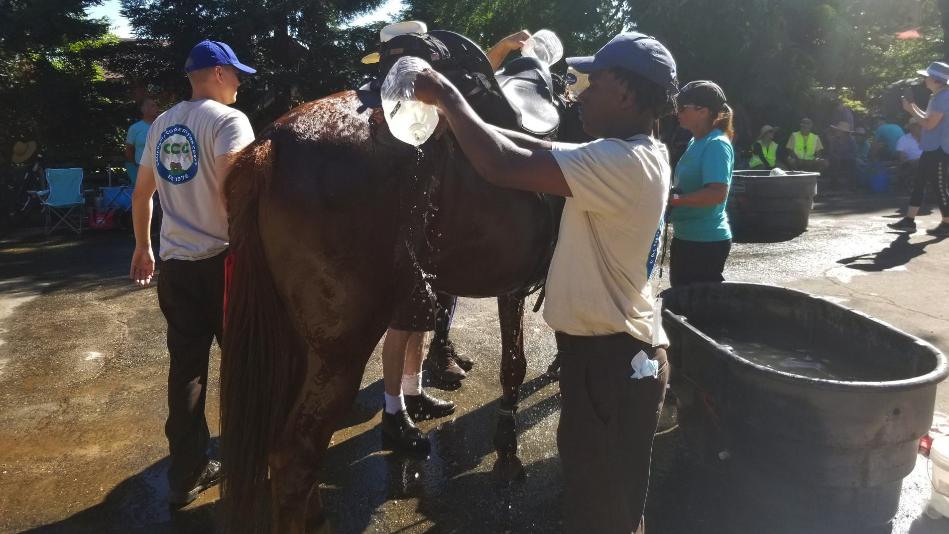 corpsmember pours water on a horse during volunteer event