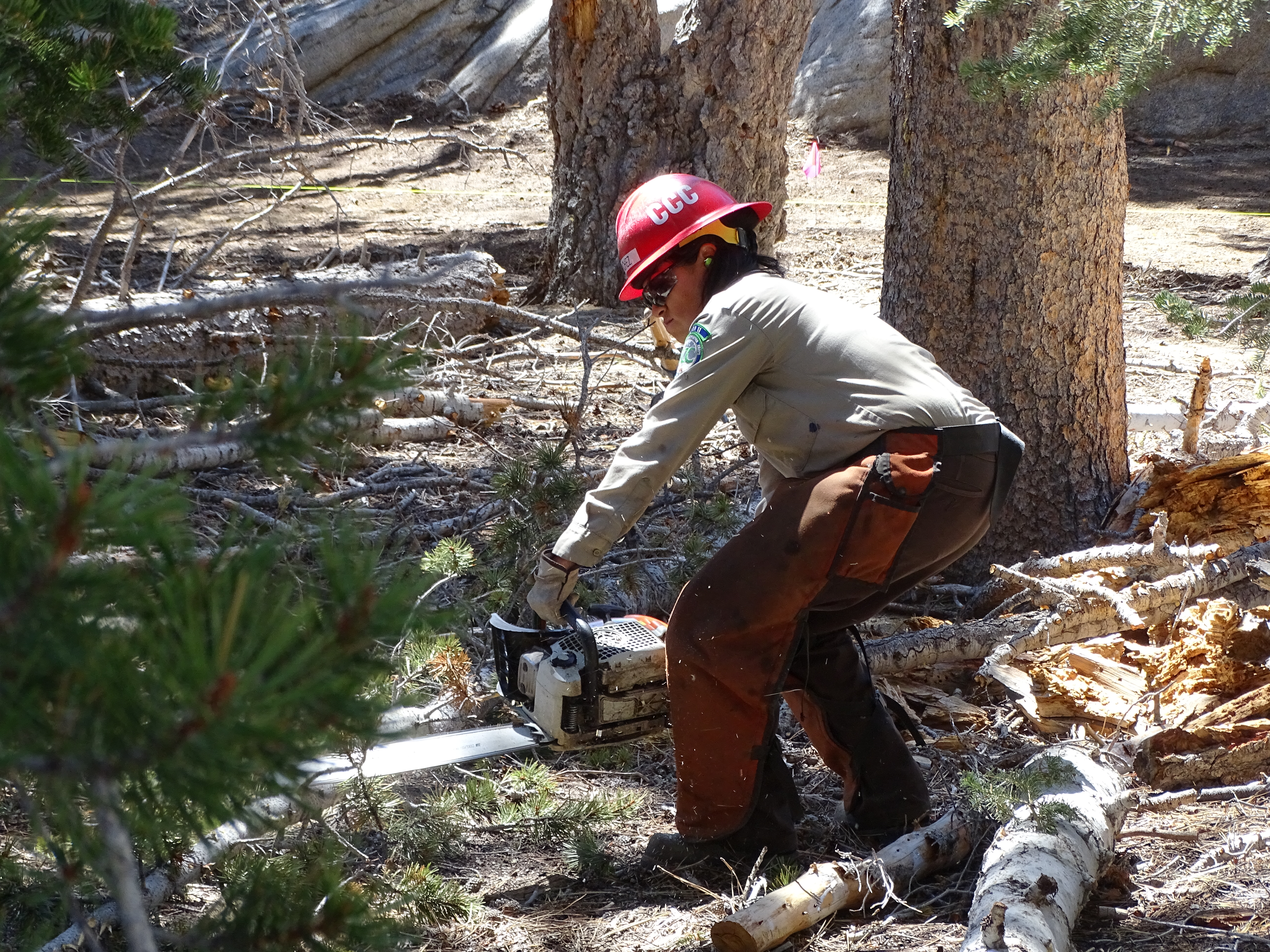 Corpsmember training to operate a chain saw properly and safely.