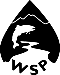 Watershed Stewards Program logo. Reads: WSP. Logo is shaped like a water droplet, with mountains at the top and a fish jumping above a stream in the middle. The letters WSP are at the bottom.