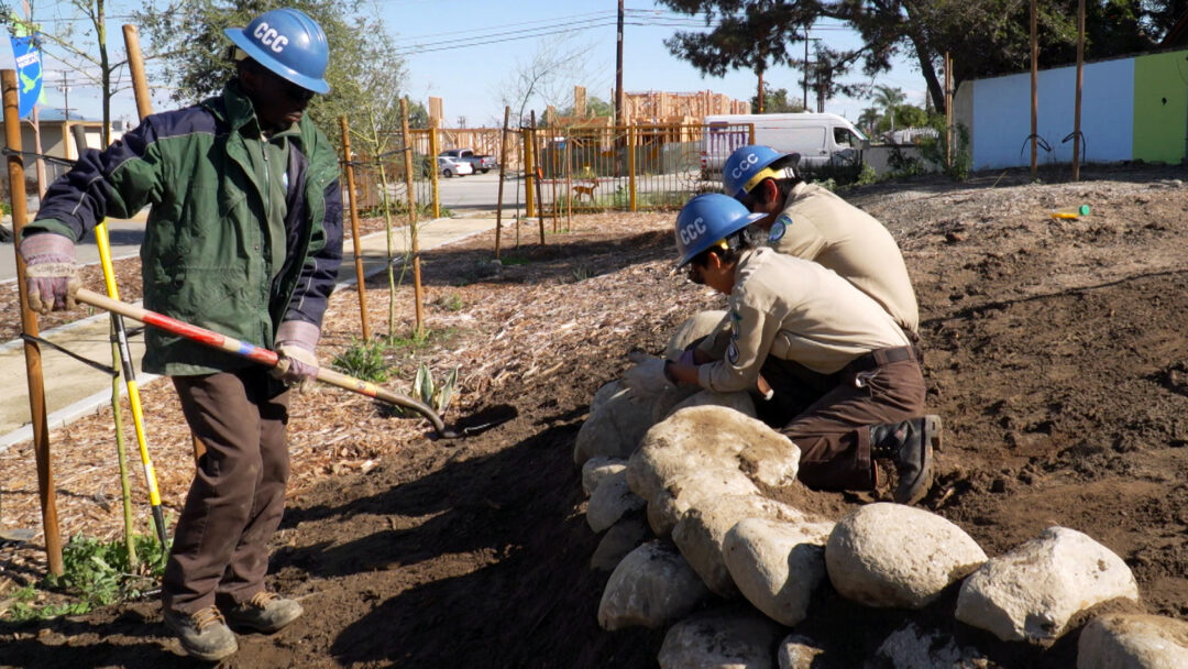 Public Service Conservation Work California Conservation