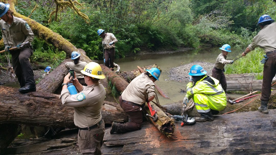 Riparian And Watershed Restoration | California Conservation Corps