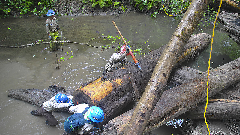 Crews working to position logs in creek