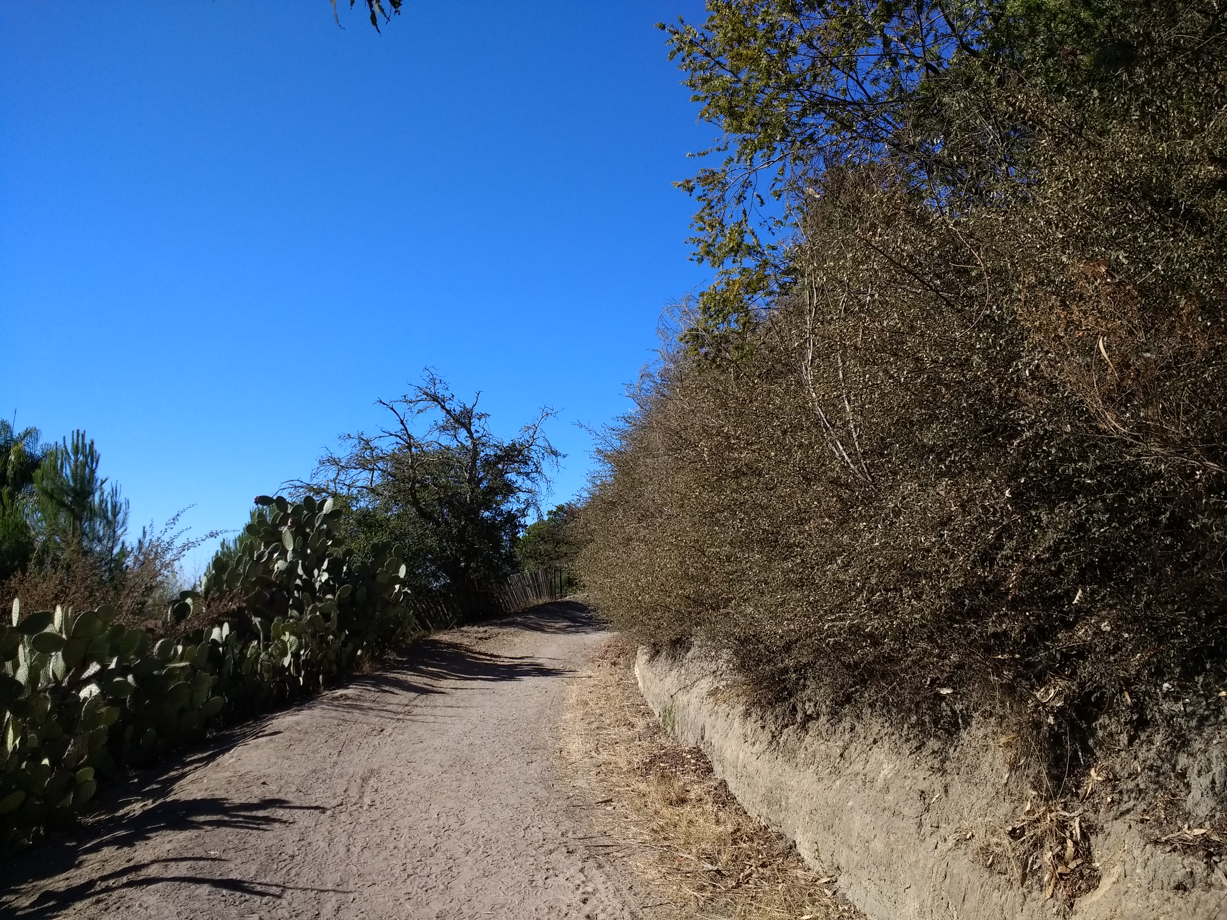 Before photo of DeLaveaga Park