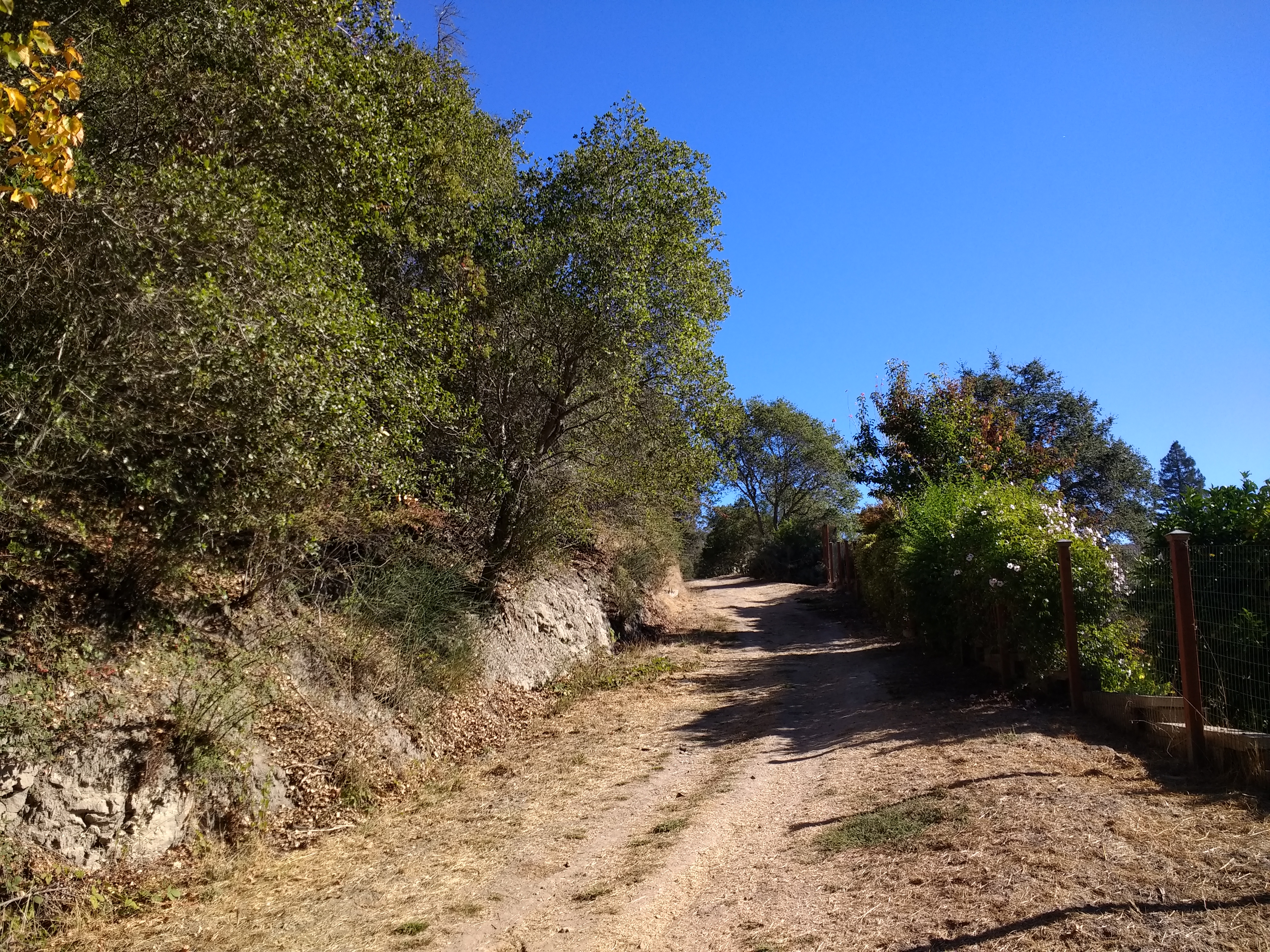 Before photo of DeLaveaga Park