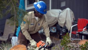 Image corpsmember chopping tree