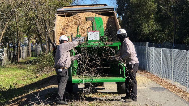 Two men put branches in wood chipper
