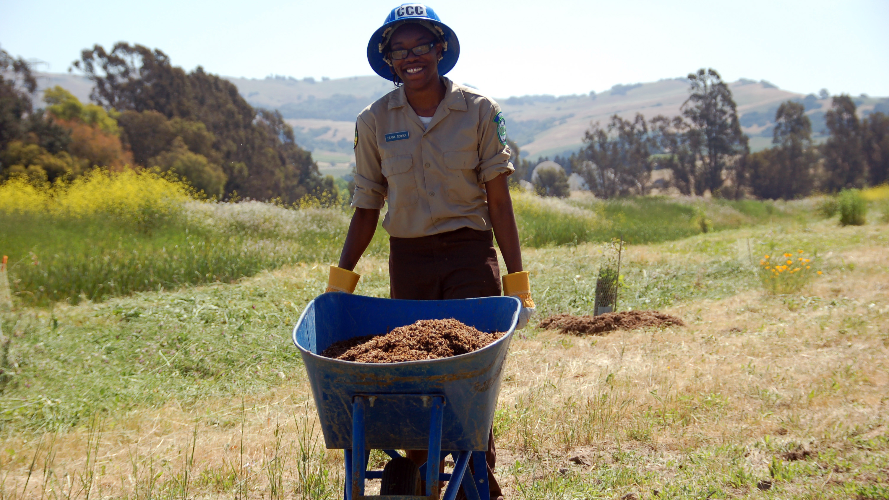 Solano Center Corpsmember hauling wood chips in a wheelbarrow.