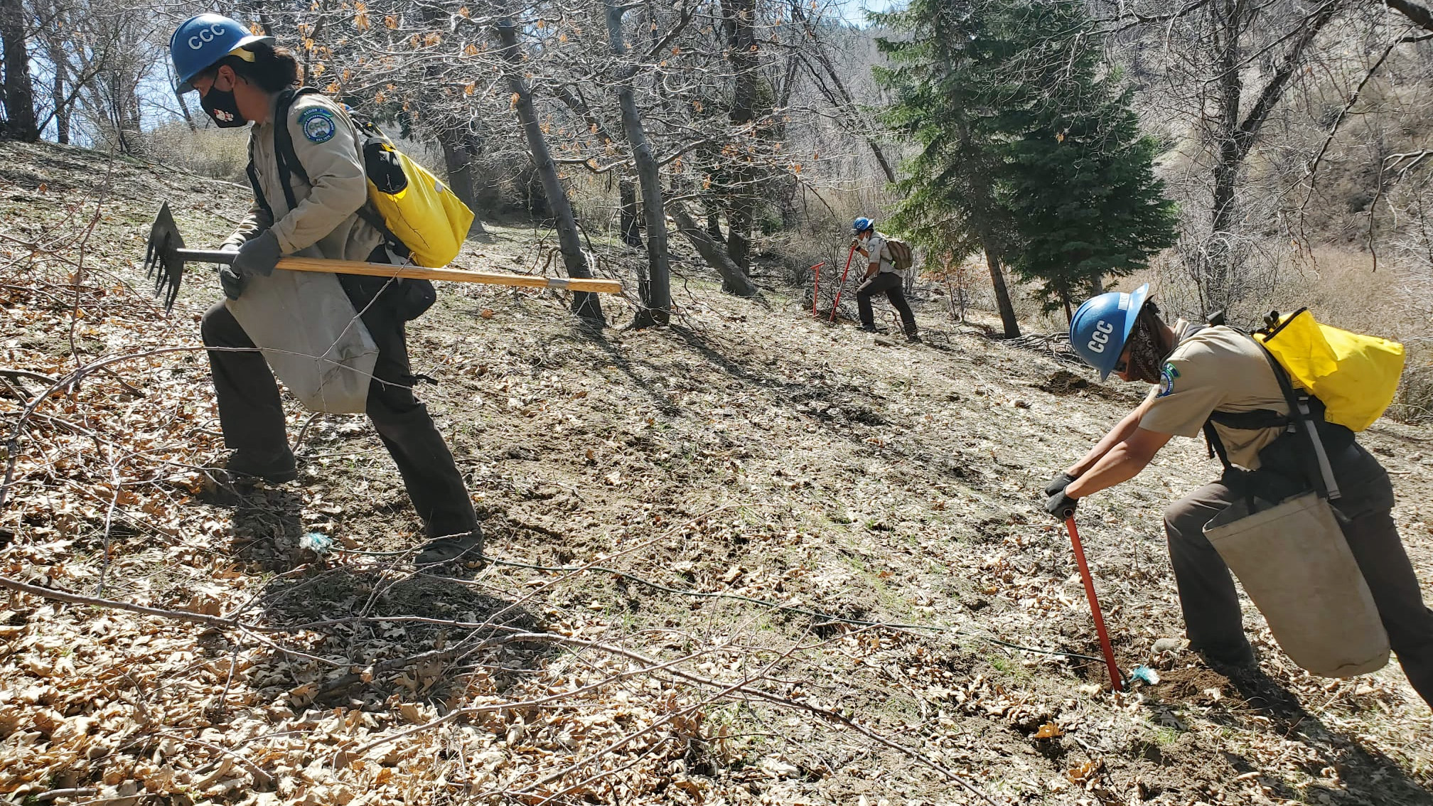 corpsmembers going up hill using tools to prepare ground for plants