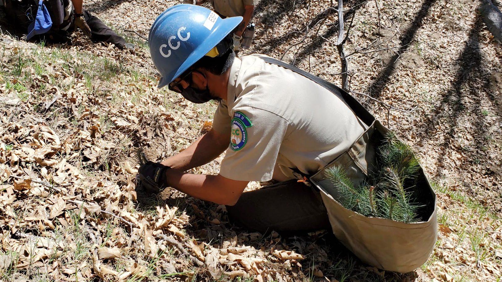 corpsmember on knees planting seedling with bag full of seedlings on shoulder