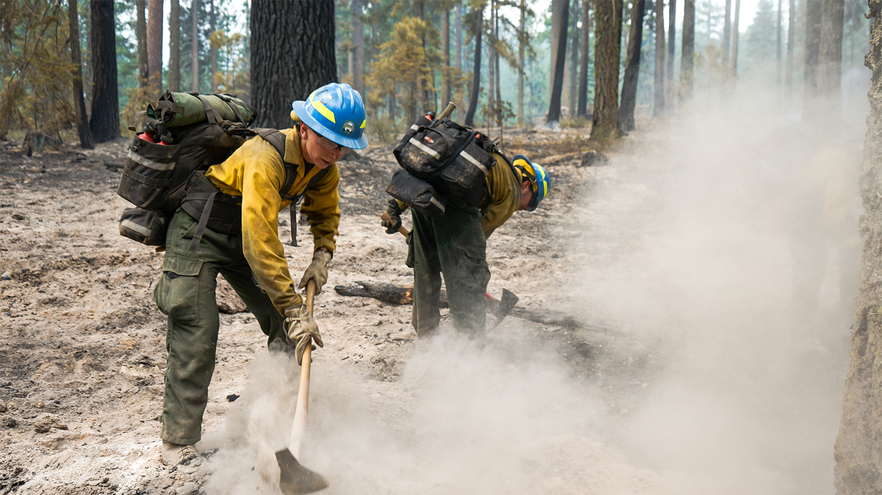 female corpsmember removing hot spots along fire line with tool