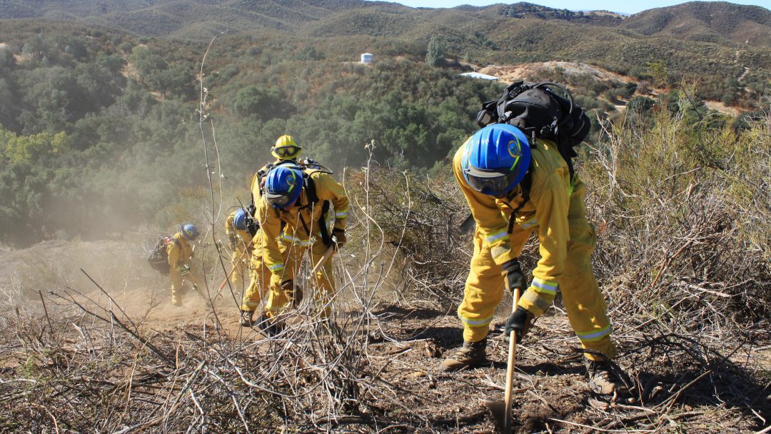 Wildland Firefighting Physical Fitness | California Conservation Corps