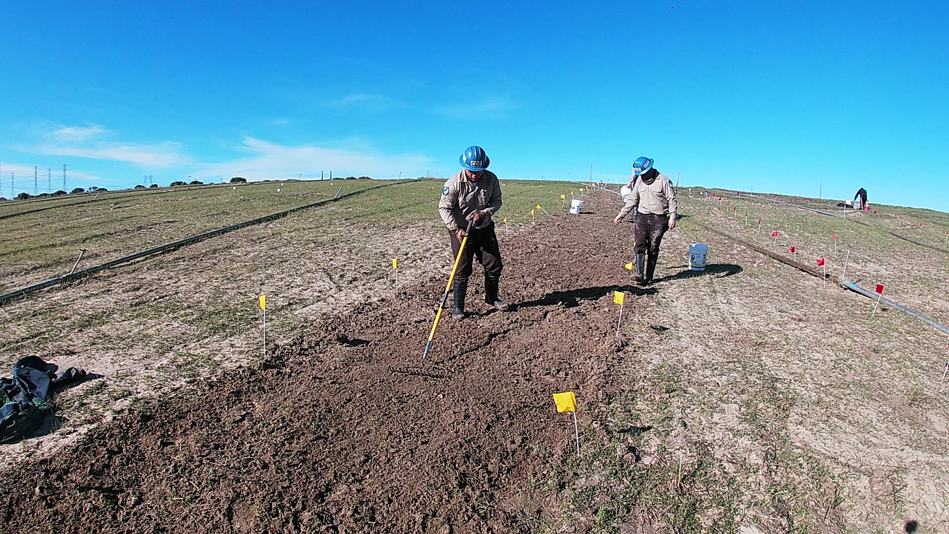 corpsmembers in field planting seeds