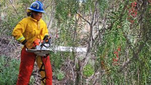 Corpsmember using a chainsaw during a training exercise.