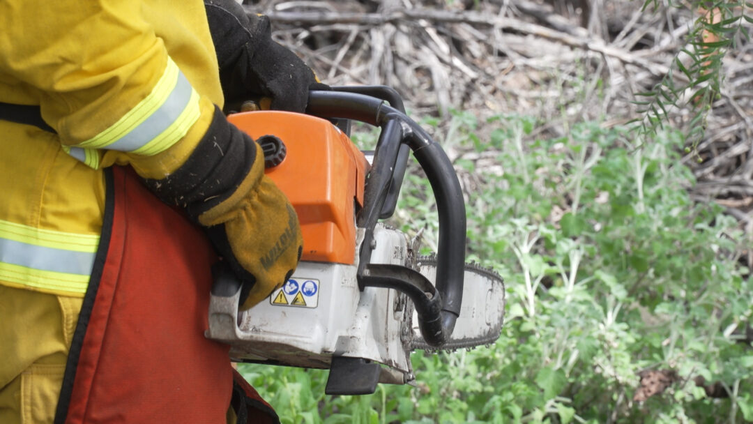 Wildland Fire Chain Saw Skills & Certifications California