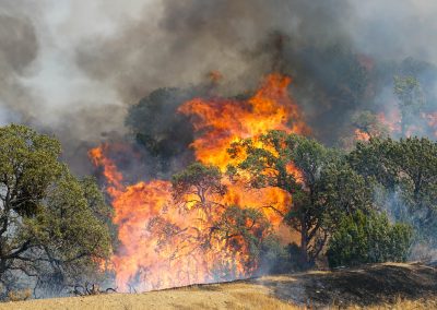 Back Burn Ignites in San Joaquin County