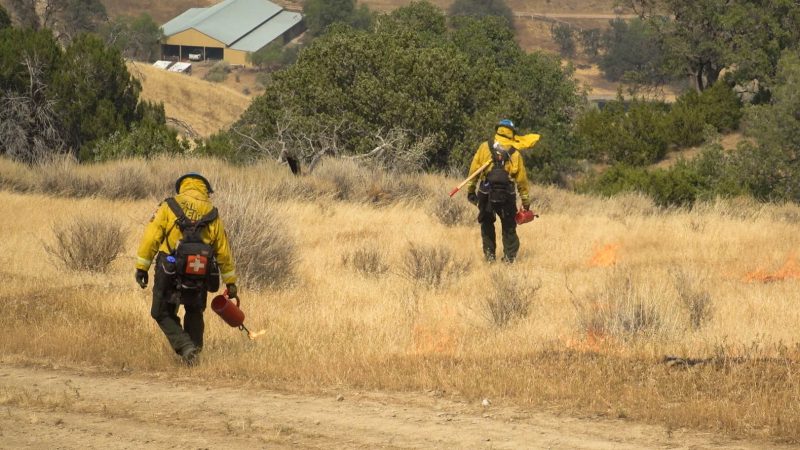 Butte Fire Crews Protect Homes At SCU Lighting Complex Fire ...