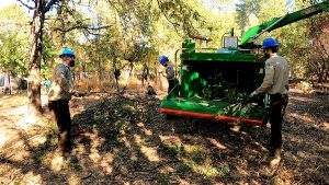 corpsmembers putting tree limbs in wood chipper