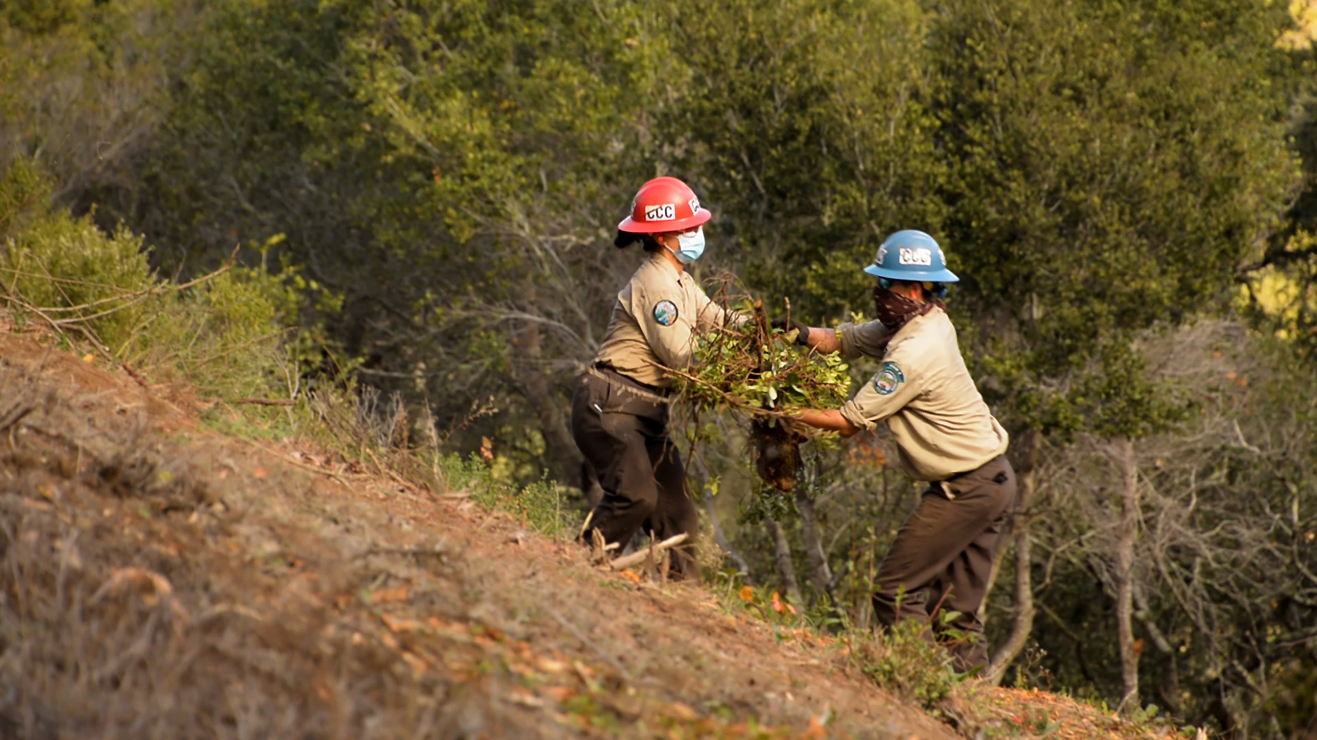 Monterey Bay Center Corpsmembers passing off tree limbs on a steep slope