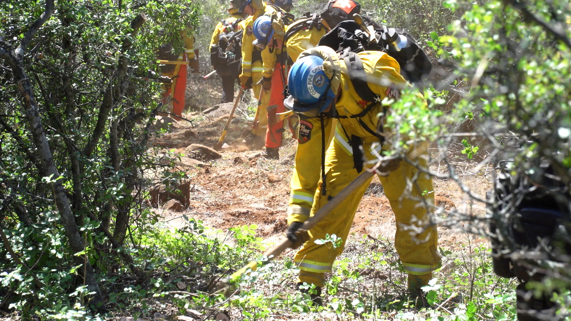 CCC Magalia corpsmember cutting line during a fire readiness excerise