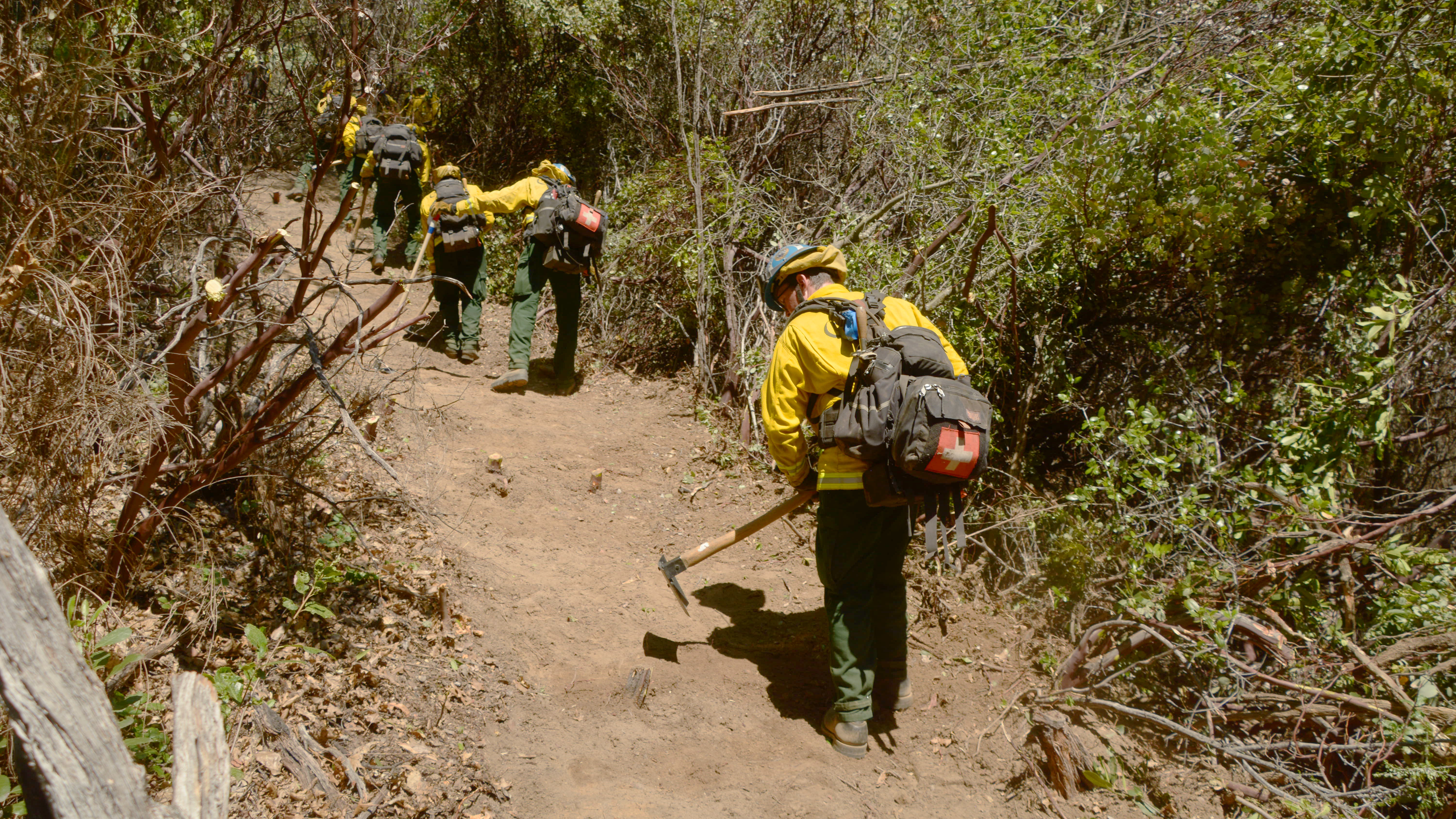 Corpsmembers in fire gear use hand tools to cut brush down to bare dirt