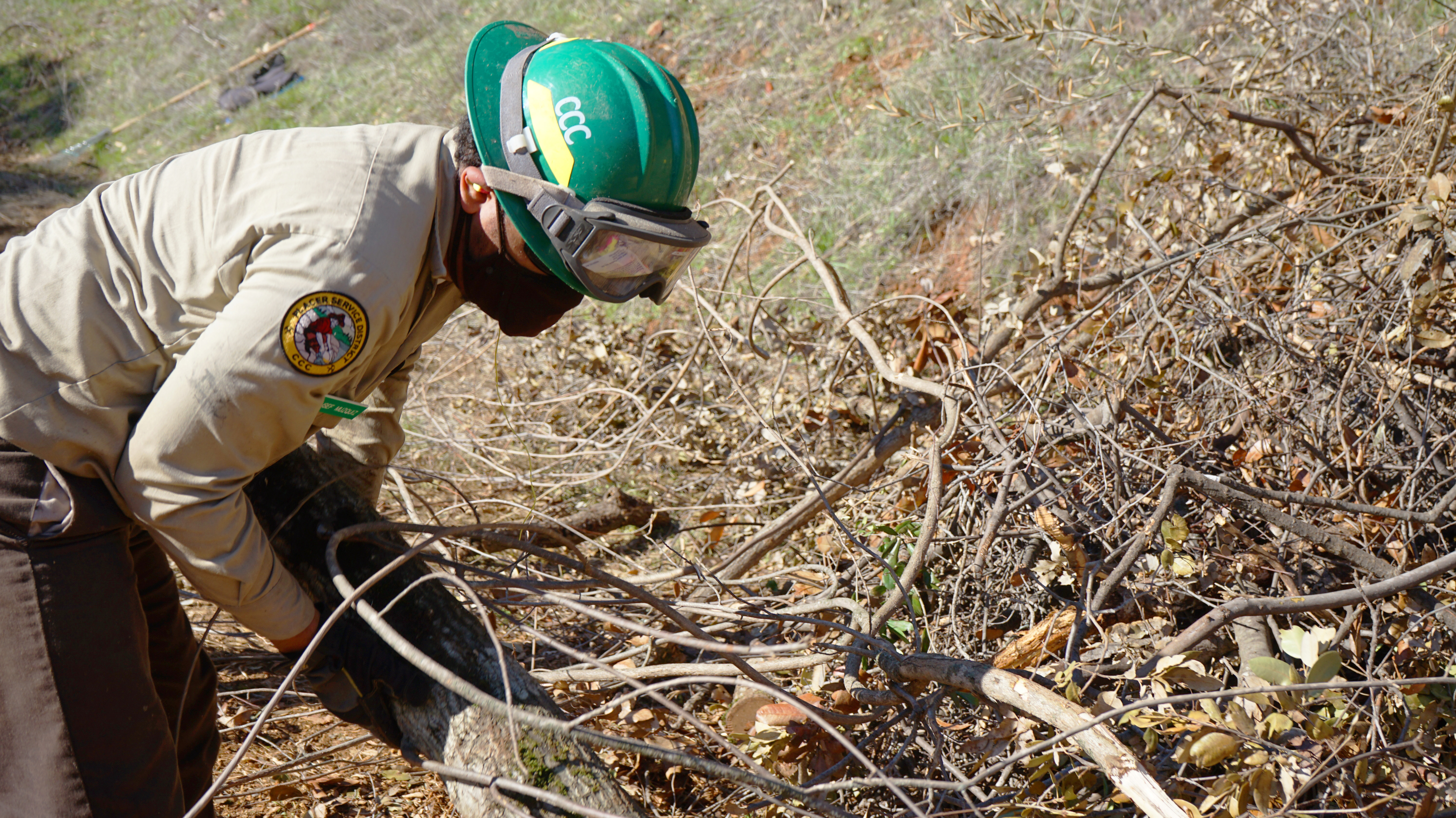Male in green helmet bends over to pick up sticks from pile for chipping