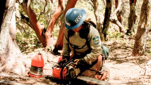 Corpsmember working on their chainsaw.