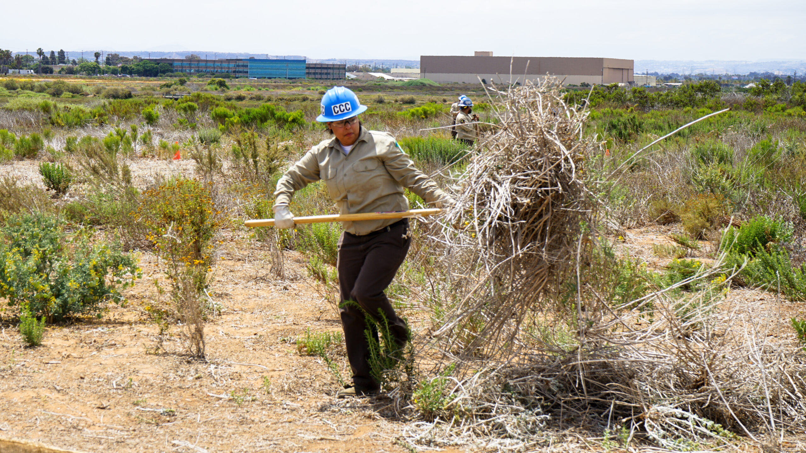 female using pitchfork moving giant slash pile in wildlife refuge