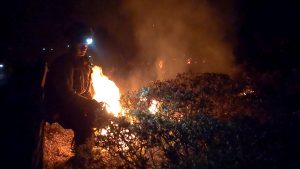 firefighter with head light illuminated by flames uses chainsaw