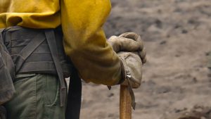 Closeup shot of a corpsmember's work gloves