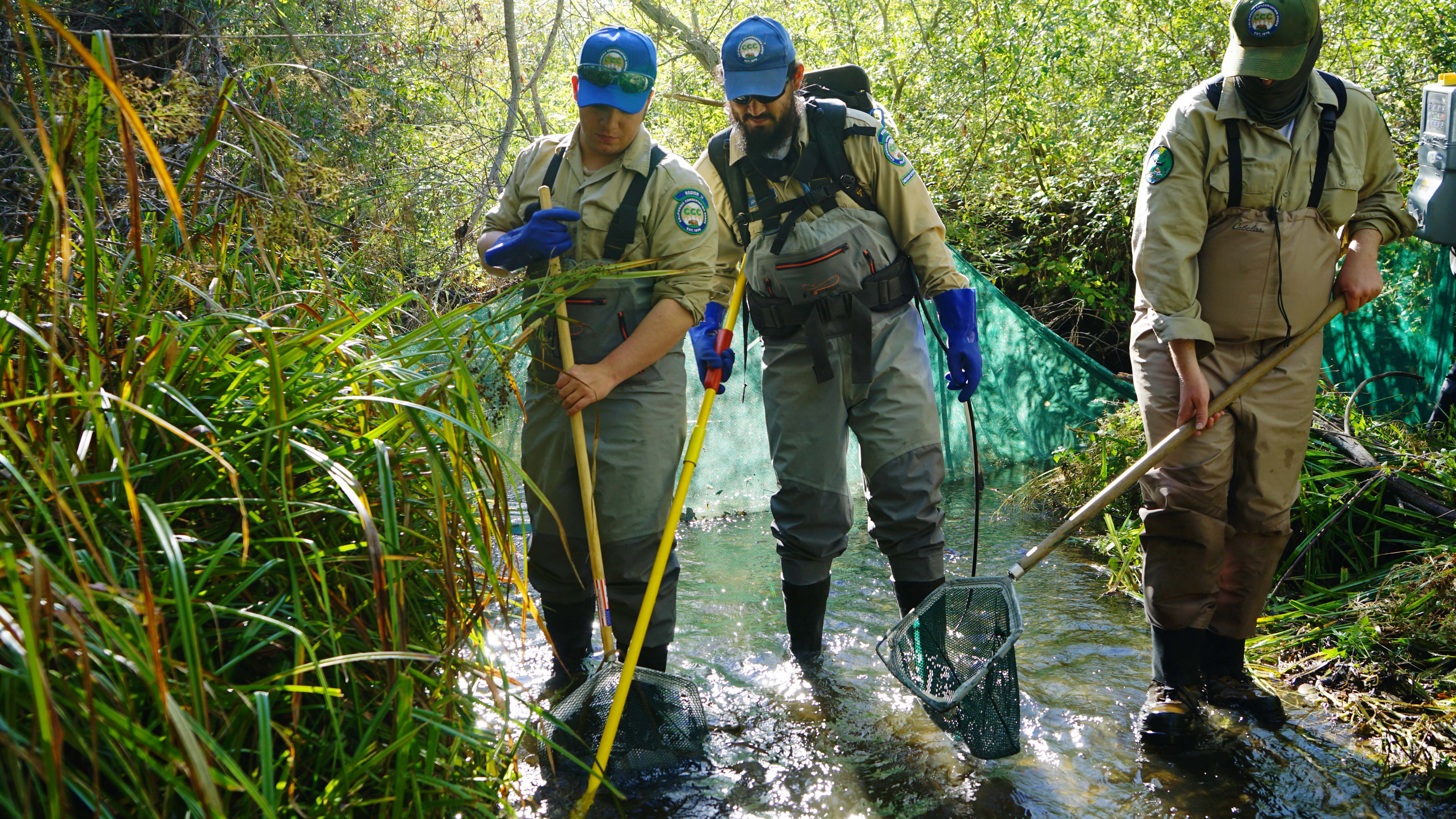 three males with fishing nets and e-fisher pack walk through a creek in waders