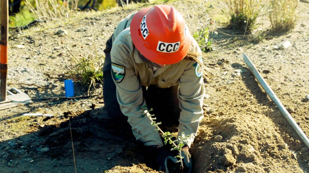Reviving Whiskeytown Recreation Area’s Native Plant Life California
