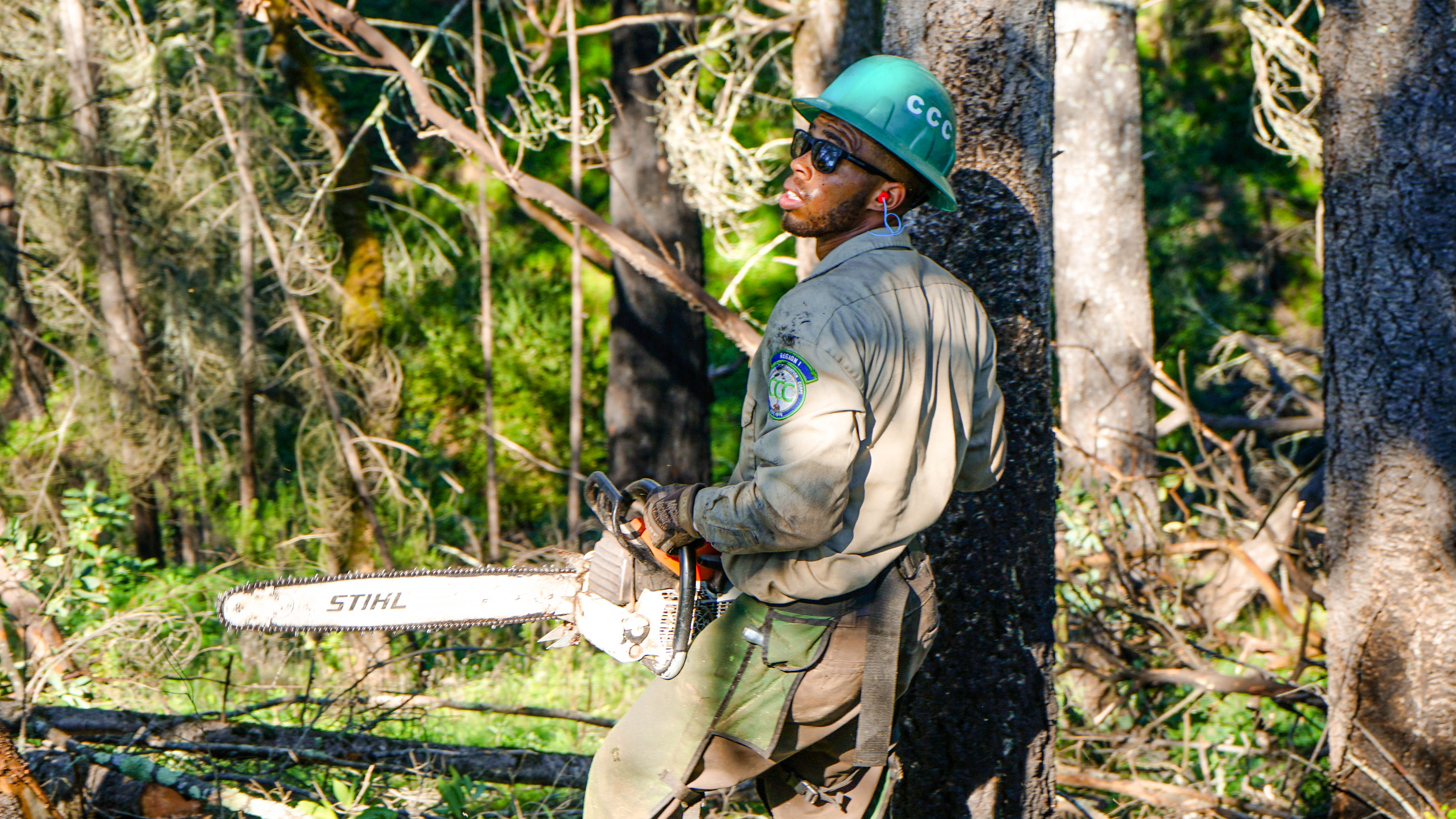 man in wooded area holding chain saw wearing safety equipment