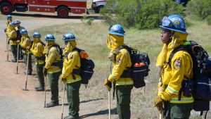 corpsmembers in nomex stand on hill with fire tools ready