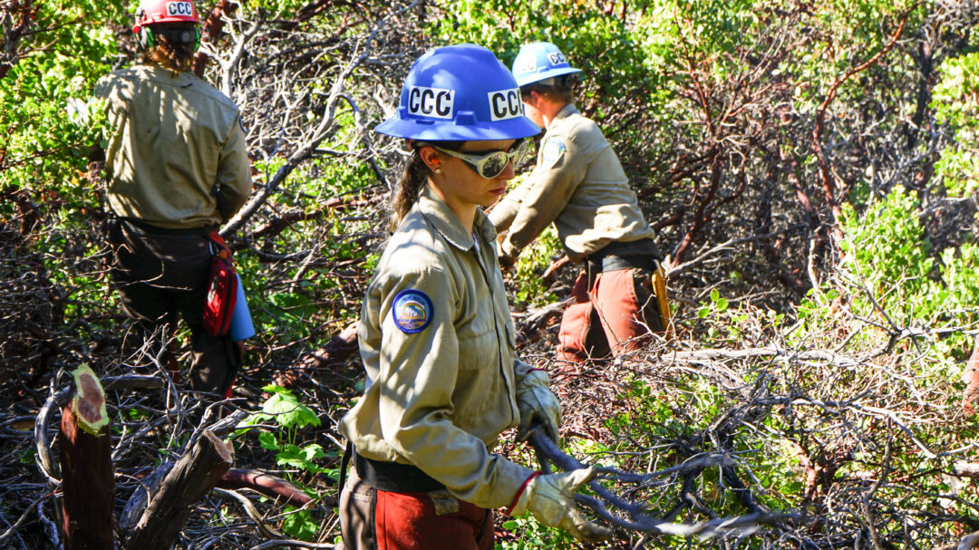 Building Trails That Lead to Careers California Conservation Corps