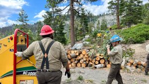 man standing next to wood chipper, another man carries branches to it