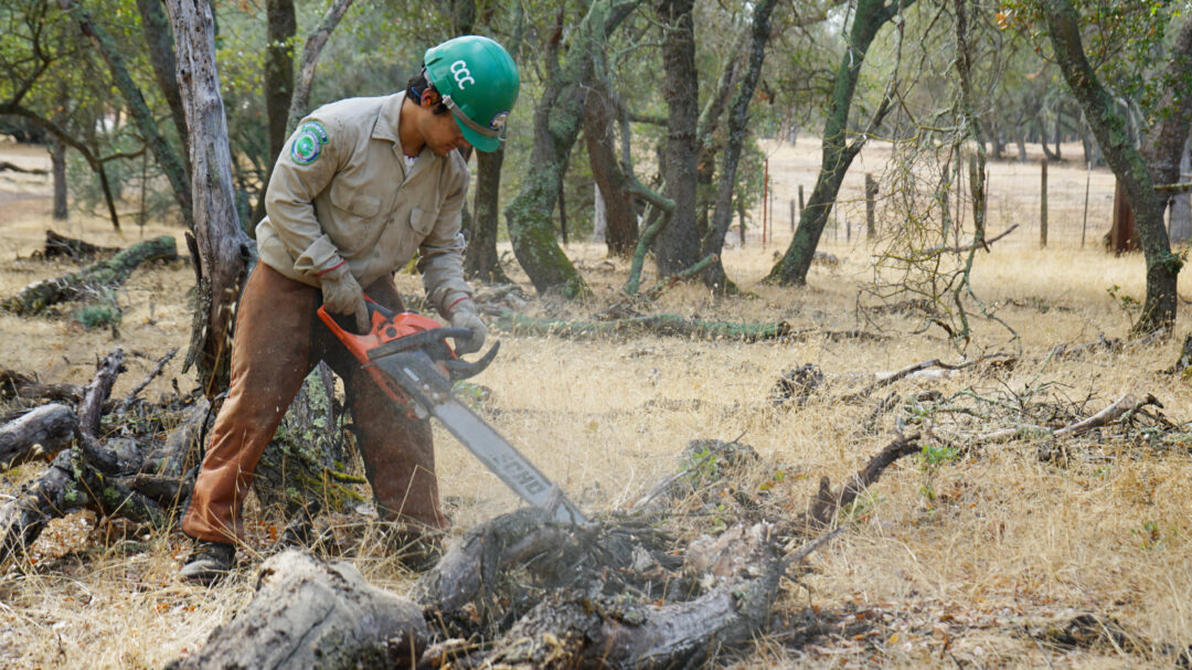 Building Habitats for Wildlife While Protecting Against Wildfire