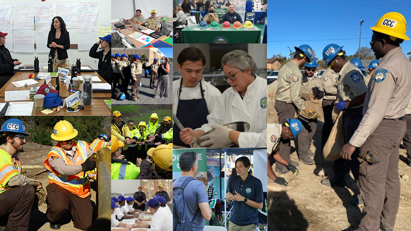 a collage of staff photos depicting field, kitchen, and office work