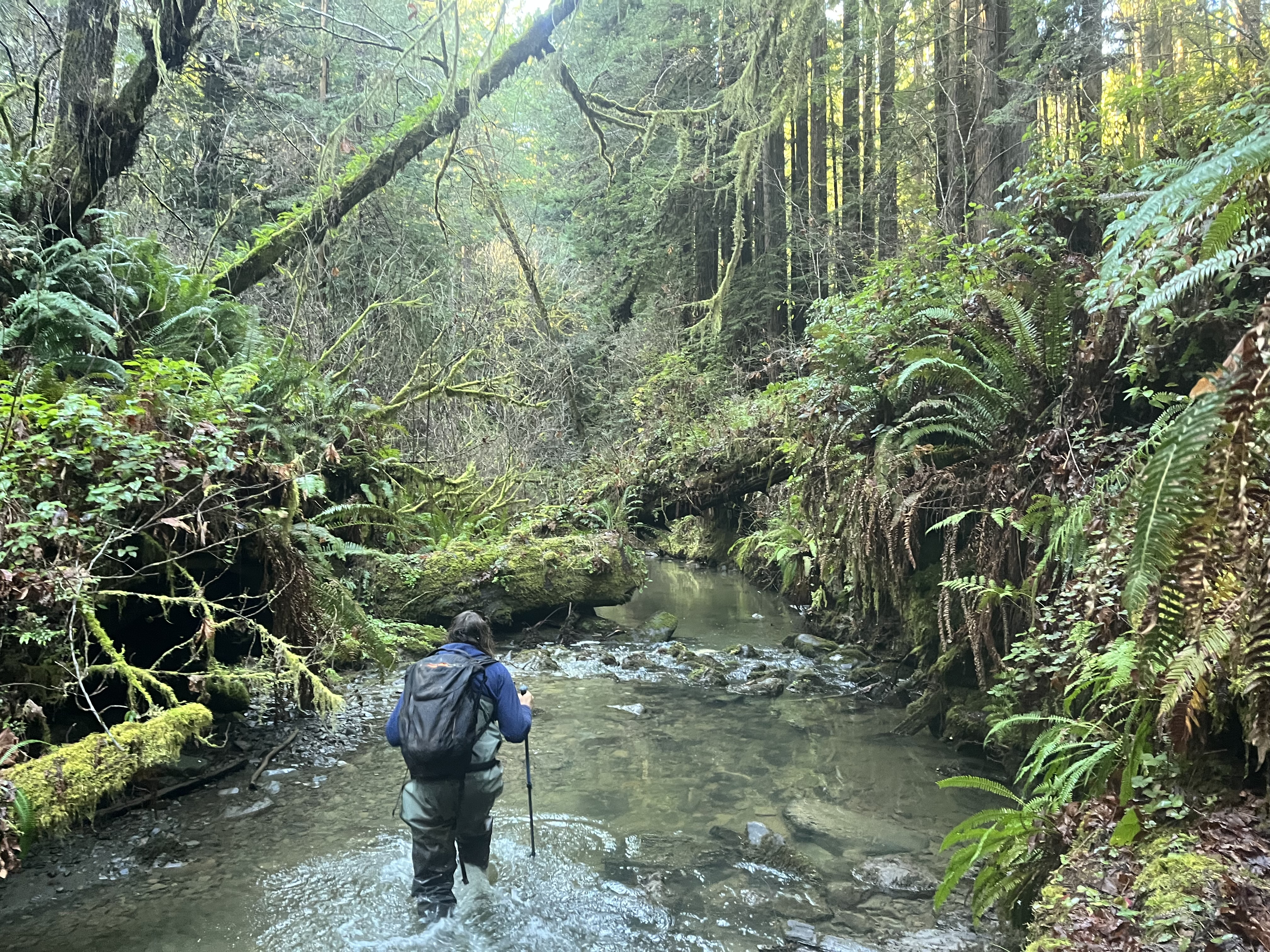 Corpsmember walking down a creek for spawner survey