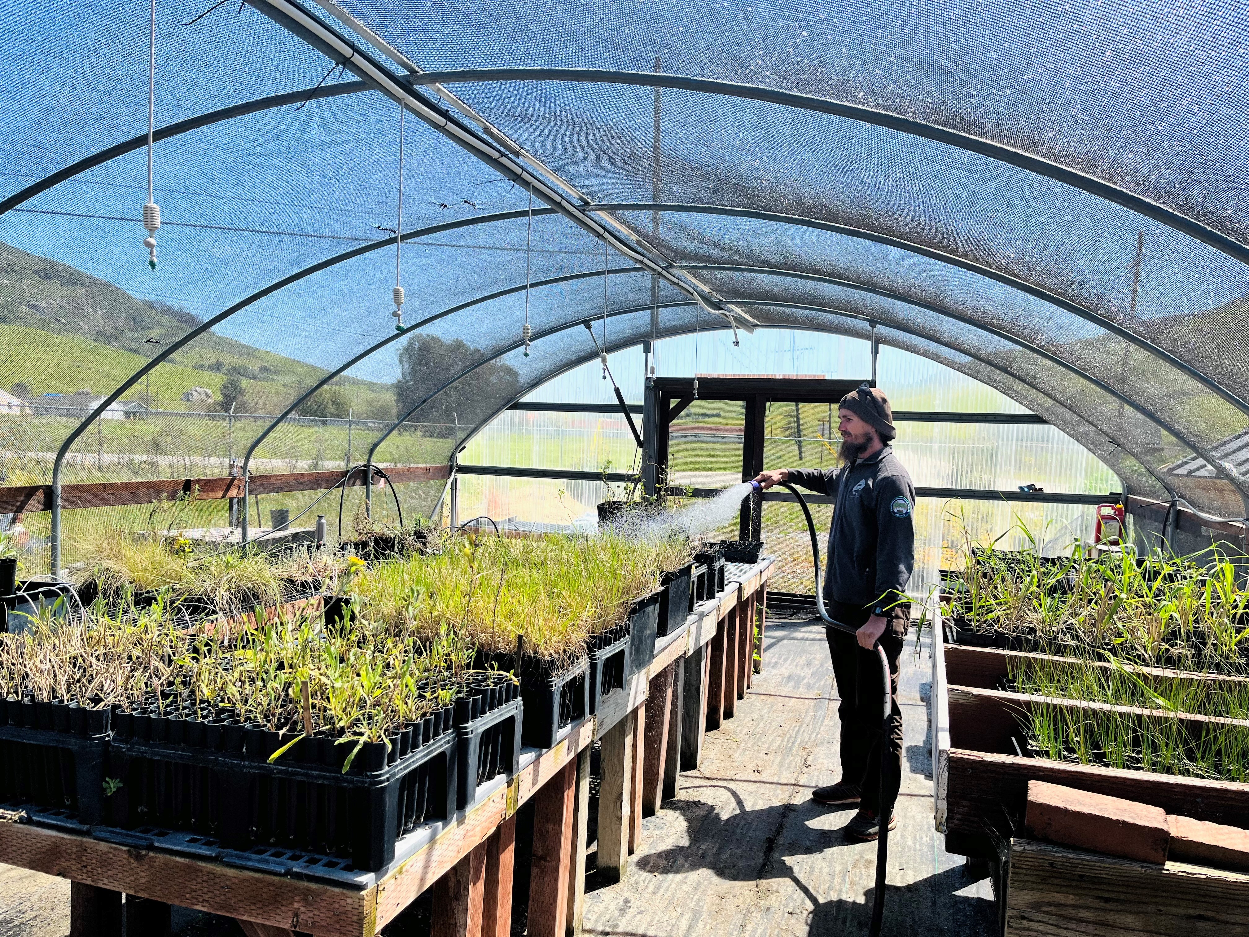 WSP Corpsmember standing inside a native plant propagation nursery