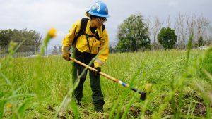 female in fire gear using a mcleod in high grass