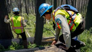 Corpsmembers from the CCC Fresno Center climb over fallen trees to reach their assigned plot points in need of surveying.