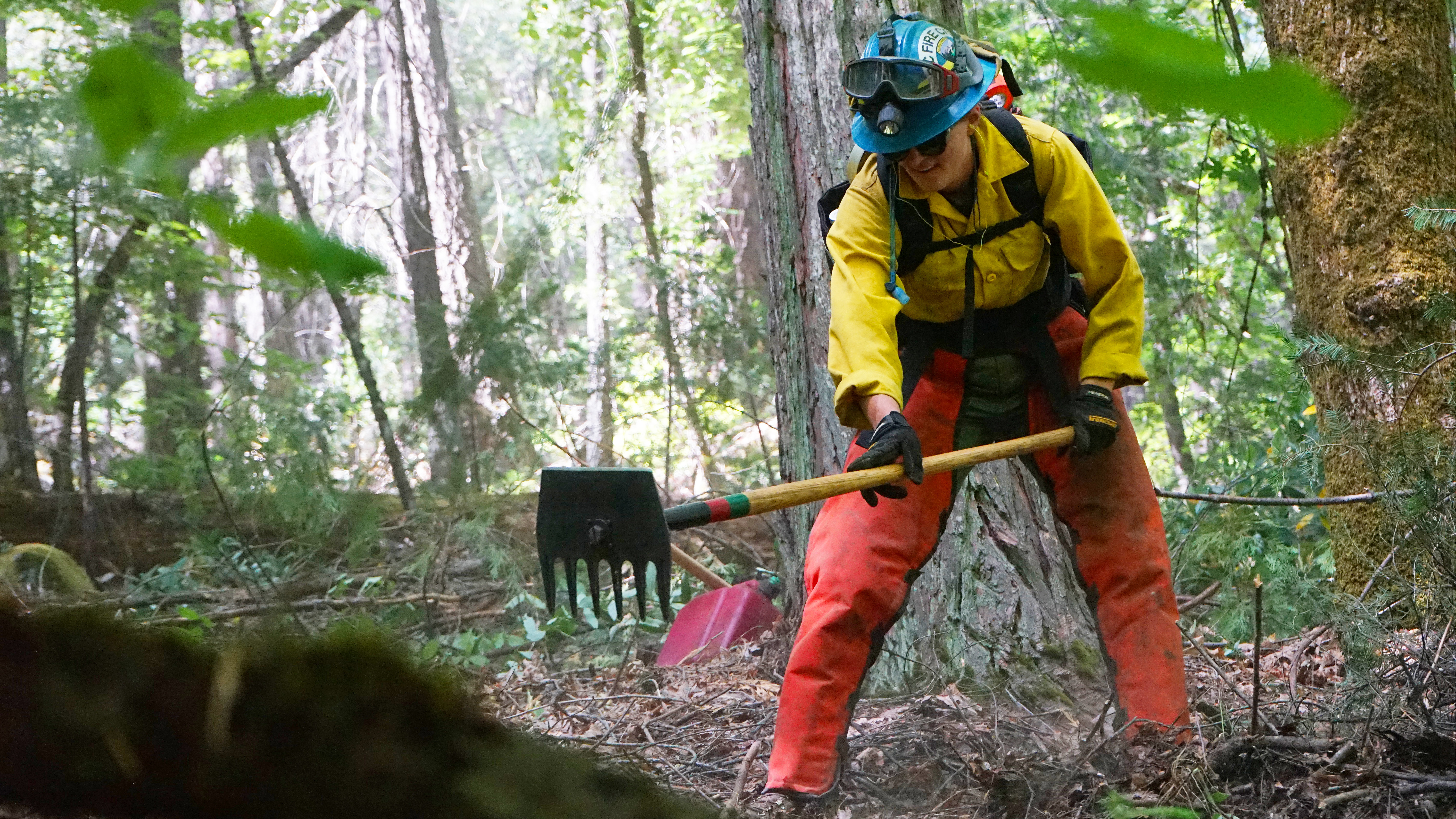 female firefighter using a mcleod in forest