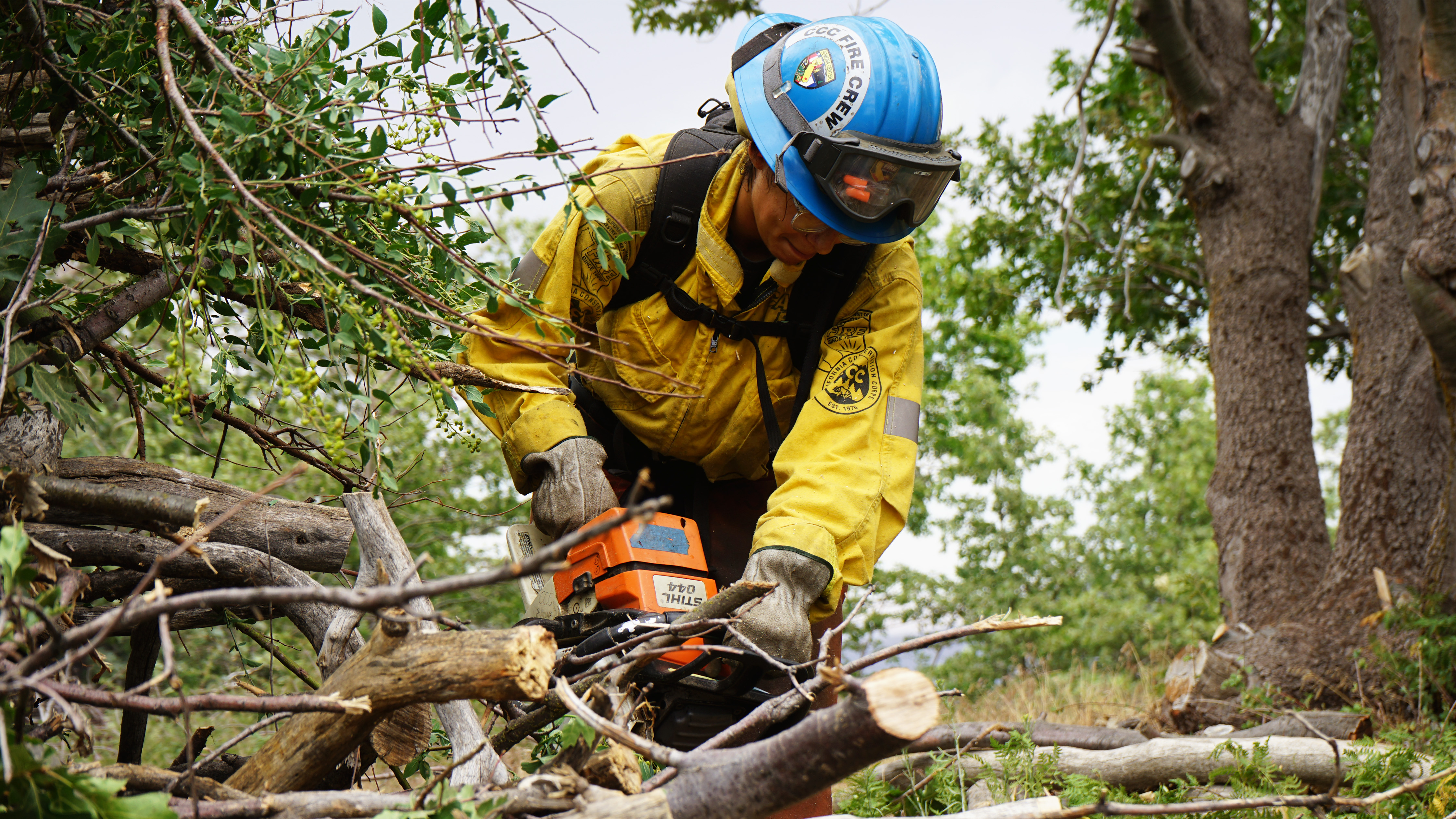 woman in fire gear using chain saw to cut branches