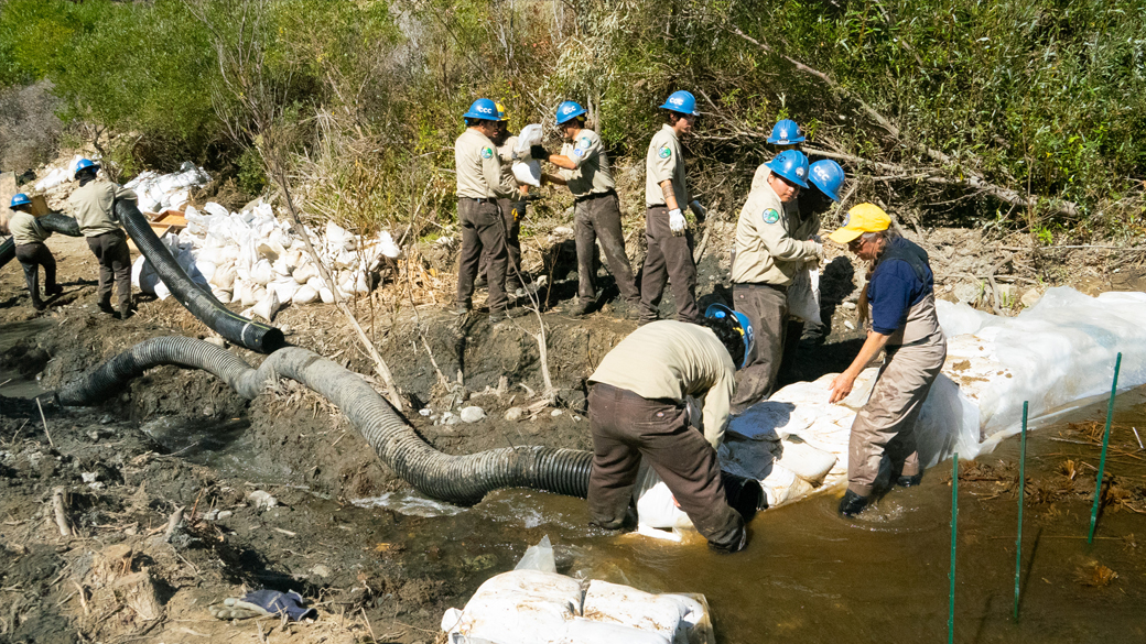 An Explosive Opportunity to Boost Endangered, Threatened Species